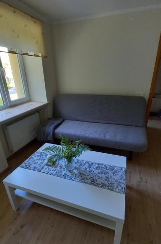 a living room with a couch and a table at Ozolu gatve 2- no Cēsīm 7 km in Jāņmuiža