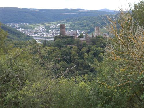 a castle on top of a hill with trees at Alkener Elfenhaus mit kostenlosen Gäste Ticket in Alken