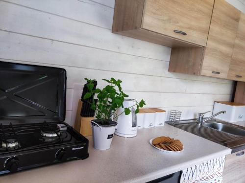 a kitchen counter with a stove and a sink at Bojkolandia in Ustrzyki Dolne