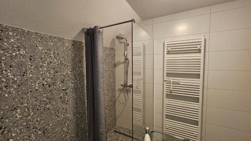 a shower with a glass door in a bathroom at Apartma Sava-Stol in Jesenice