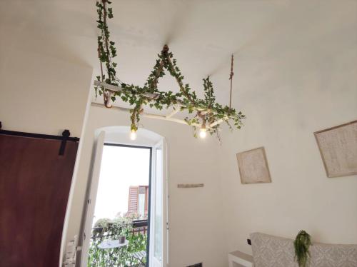 Φωτογραφία από το άλμπουμ του B&B Antiche Mura σε Sammichele di Bari