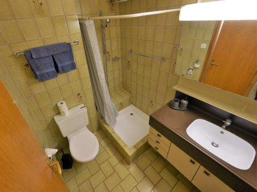 La salle de bains est pourvue de toilettes, d'un lavabo et d'une douche. dans l'établissement Bonne Auberge Les Bugnenets, à Le Paquier