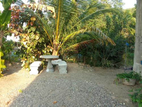 a palm tree sitting next to a stone bench at The Gibson's Palace in Ocho Rios