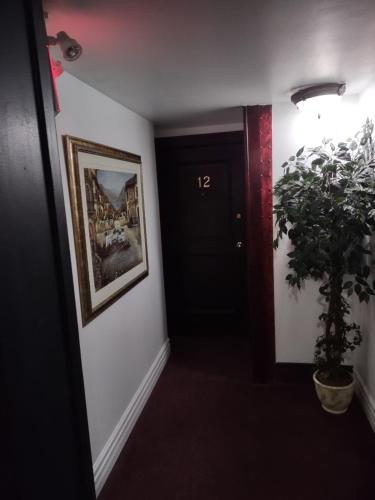 a hallway with a black door and a potted plant at The King George Inn in Cobourg