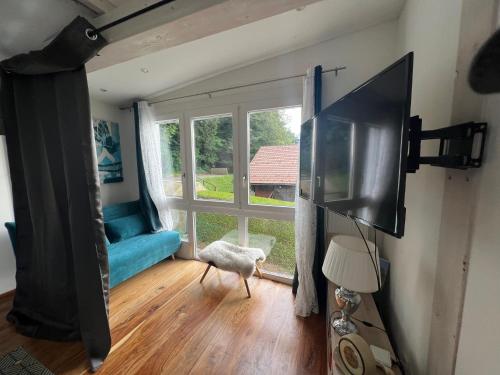 TV a/nebo společenská místnost v ubytování Petite maison à l'orée des bois vue magnifique sur le lac zenitude et plénitude