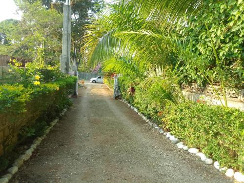 a dirt road in a garden with palm trees and a car at The Gibson's Palace in Ocho Rios