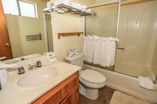 een badkamer met een wastafel, een toilet en een douche bij Little Brown Bear - Beautiful view, quiet area and an amazing hot tub! in Big Bear Lake