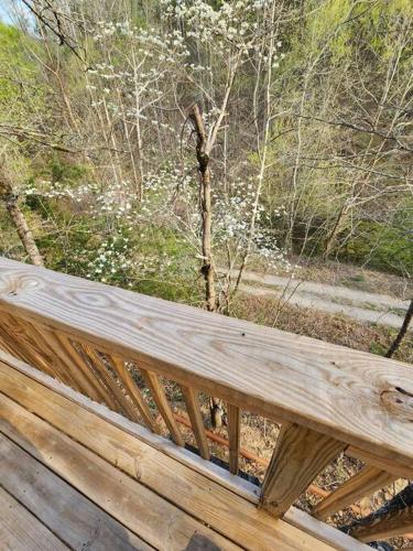 Dancing Bear Cabin- Relax & Enjoy! photo 15