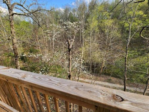 Dancing Bear Cabin- Relax & Enjoy! photo 38