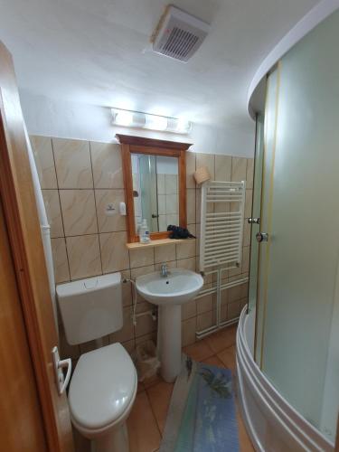 a bathroom with a white toilet and a sink at Belvedere La Cristina in Corbeni