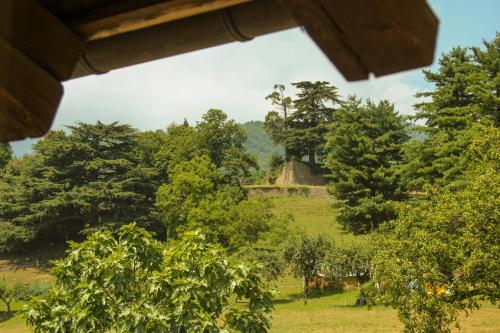 Κήπος έξω από το Cascina del Forte