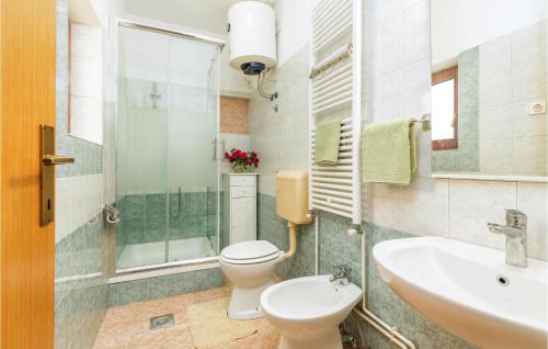 uma casa de banho com um WC e um lavatório em Awesome Home In Svetvincenat With Outdoor Swimming Pool, 2 Bedrooms And Wifi em Svetvincenat