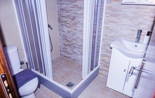 a bathroom with a shower and a toilet and a sink at Harmony Apartments in Larisa