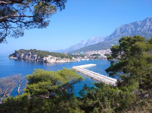 Fifty shades of blue