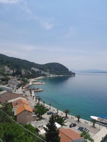 a large body of water with a town and a beach at Apartmani Grgo in Živogošće