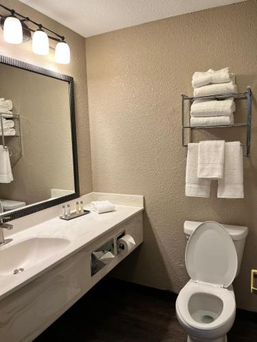 a bathroom with a sink and a toilet and a mirror at Grandstay Hotel & Suites in Waunakee
