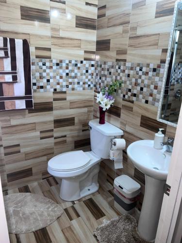 a bathroom with a toilet and a sink at Comfort Rest in Ocho Rios