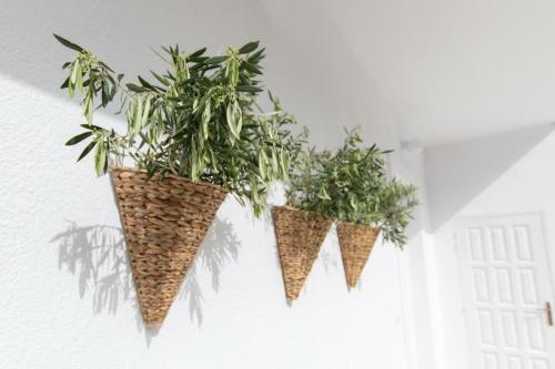 two plants are hanging on a wall at Bella vista Suites in Karpathos Town