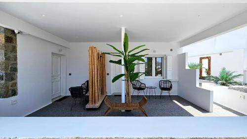 a living room with a potted plant in the middle at Mykonos Double Luxury Mini Suites-With External Hot spa Adults only in Ano Mera