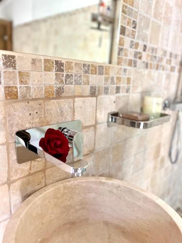 a bathroom sink with a red rose on top of it at Romance en Provence in Marignane