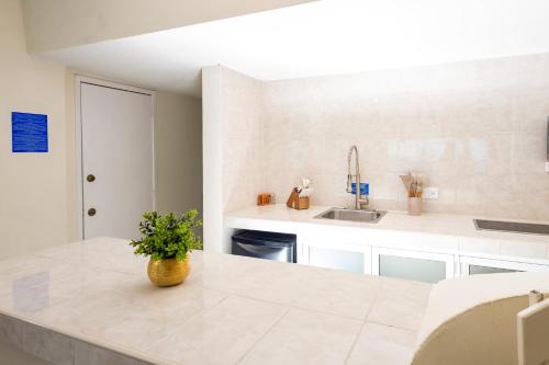 een keuken met een aanrecht met een plant erop bij 2 Story Oceanfront Penthouses on Cancun Beach! in Cancun