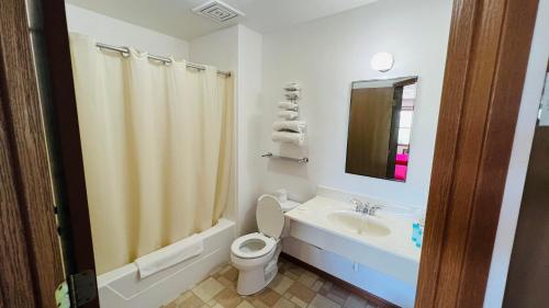 a bathroom with a toilet and a sink and a shower at SANDS MOTEL in Boscobel