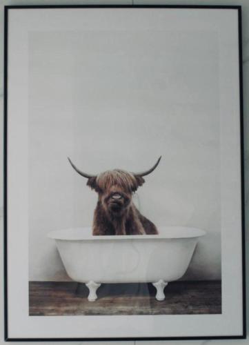 a cow standing in a bath tub with horns at Jaskółcze Gniazdo in Półwiosek Stary