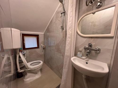a small bathroom with a toilet and a sink at DALIA Apartment & Room in Mostar