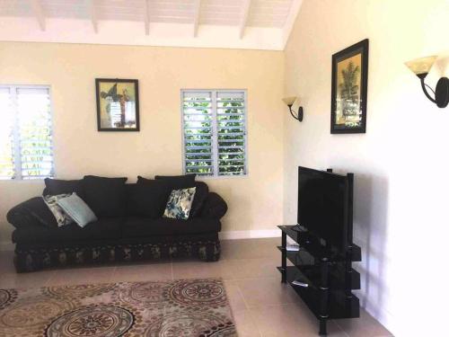 a living room with a black couch and a tv at Richmond - Heroes Villa, AC, Security, Access to Pool, Playground & Private Beach - Welcome Breakfast Basket in Richmond