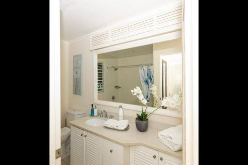 a bathroom with a sink and a mirror at Richmond - Heroes Villa, AC, Security, Access to Pool, Playground & Private Beach - Welcome Breakfast Basket in Richmond