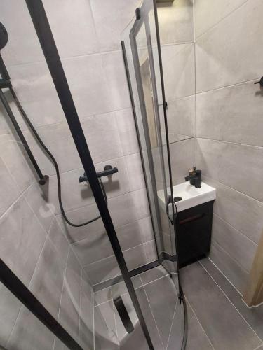 uma casa de banho com um chuveiro, um WC e um lavatório. em Apartmány Lucie em Jihlava