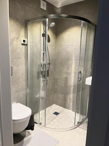 een douchecabine in een badkamer met een toilet bij Piejūras apartaments in Ķesterciems