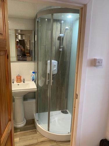 a bathroom with a shower and a sink at Beautiful studio apartment in Pembrokeshire