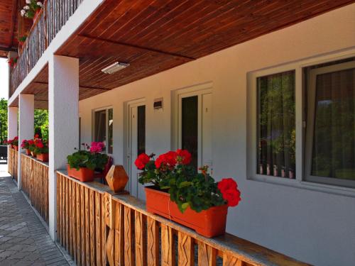a porch with potted plants and windows on a house at Casa Papițu in Vadu Izei