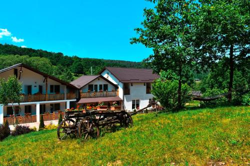 a house on a hill with a picnic table in the grass at Casa Papițu in Vadu Izei