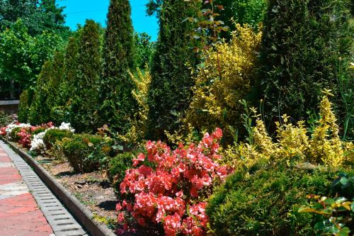 a garden with pink and red flowers and bushes at Casa Papițu in Vadu Izei