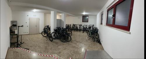 Fitness centrum a/nebo fitness zařízení v ubytování Hotel Pittini