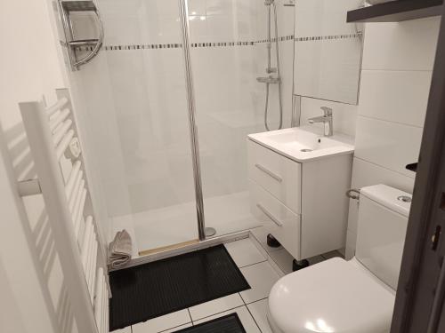 une salle de bain avec une douche, des toilettes et un lavabo dans l'établissement Appartement a 50 mètres de la plage, à Fréjus