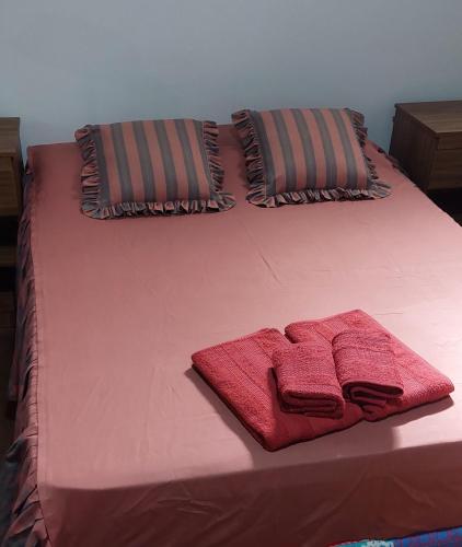 un letto rosa con due cuscini e due asciugamani rossi di LS Alojamientos Posadas Misiones a Posadas