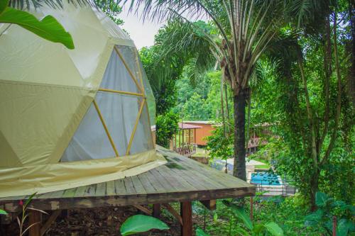 a dome tent sitting on a wooden table with trees at Eden Valley Ecolodge and Farming in Madalena