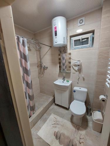 a bathroom with a toilet and a shower and a sink at Котедж у Ліску 2 in Vorokhta