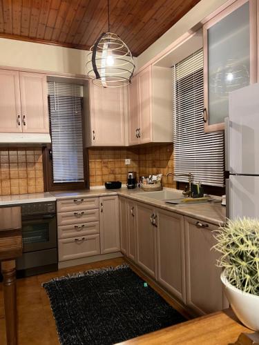 Cuisine ou kitchenette dans l'établissement House in the Woods