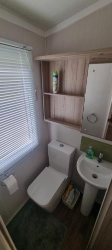 La petite salle de bains est pourvue de toilettes et d'un lavabo. dans l'établissement Lynton lodges, à Evanton