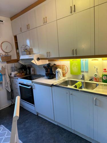 Kuchyň nebo kuchyňský kout v ubytování Central Gothenburg