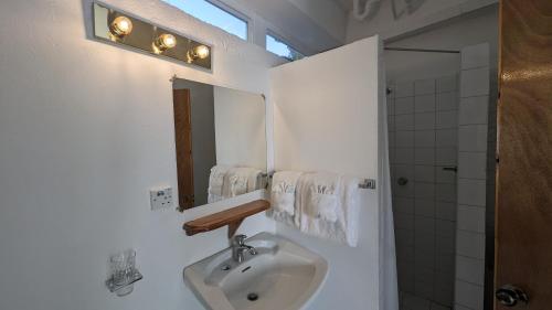 ein Bad mit einem Waschbecken und einem Spiegel in der Unterkunft OEManagement Hotel Rooms in Roseau
