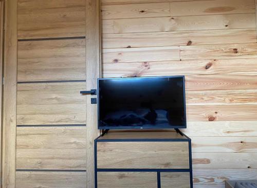 un televisor sentado en un stand junto a una pared de madera en MAZURY LAKE RESORT en Wydminy