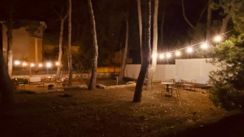 a park at night with a picnic table and lights at Villa Iavernaro in Pulsano