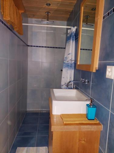 ein Badezimmer mit einem weißen Waschbecken und einer Dusche in der Unterkunft Chez Pierre in Praz-de-Fort