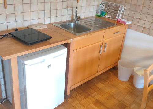 una pequeña cocina con fregadero y lavavajillas en Rooms and Apartment Na poljani, en Škofja Loka