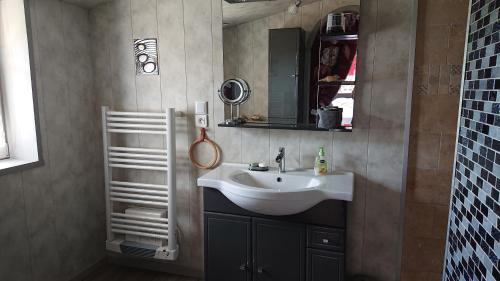 une salle de bain avec un lavabo et un miroir dans l'établissement Les Mésanges, à Saint-Michel-de-Villadeix